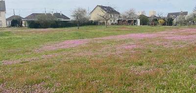 Terrain seul à Champagné en Sarthe (72) de 2675 m² à vendre au prix de 158000€ - 2