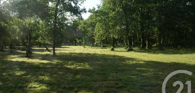 Terrain seul à Saint-Vivien-de-Médoc en Gironde (33) de 3960 m² à vendre au prix de 80000€ - 1