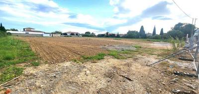 Terrain seul à Pia en Pyrénées-Orientales (66) de 850 m² à vendre au prix de 195500€ - 1