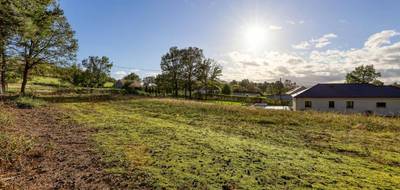 Terrain seul à Saint-Victor en Allier (03) de 2329 m² à vendre au prix de 43000€ - 3