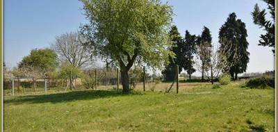 Terrain seul à Creully sur Seulles en Calvados (14) de 1162 m² à vendre au prix de 115000€ - 4