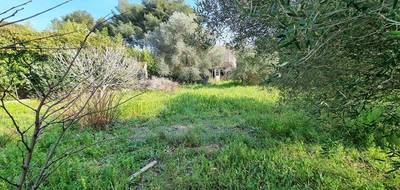 Terrain seul à La Seyne-sur-Mer en Var (83) de 704 m² à vendre au prix de 270000€ - 2