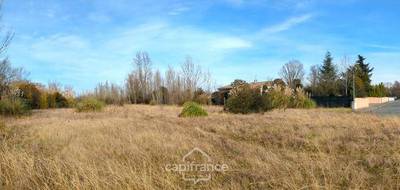 Terrain seul à Roques en Haute-Garonne (31) de 6000 m² à vendre au prix de 548600€ - 1