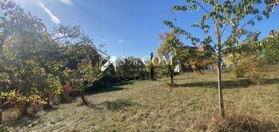 Terrain seul à Dettwiller en Bas-Rhin (67) de 1000 m² à vendre au prix de 131000€ - 3