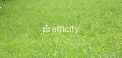 Terrain seul à Cerny en Essonne (91) de 573 m² à vendre au prix de 193000€ - 1