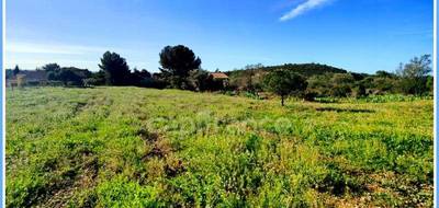 Terrain seul à Neffiès en Hérault (34) de 2673 m² à vendre au prix de 279500€ - 1