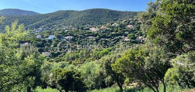 Terrain seul à La Croix-Valmer en Var (83) de 1198 m² à vendre au prix de 839000€ - 2