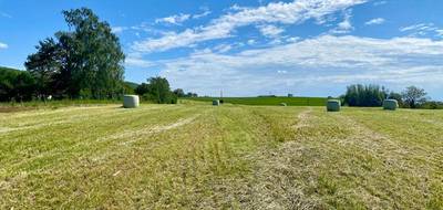Terrain seul à Saint-Amour en Jura (39) de 4000 m² à vendre au prix de 90000€ - 3
