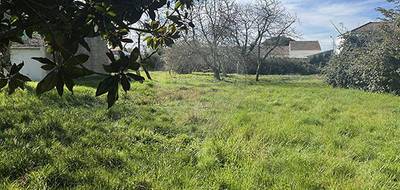 Terrain seul à Les Mathes en Charente-Maritime (17) de 1306 m² à vendre au prix de 170000€ - 1