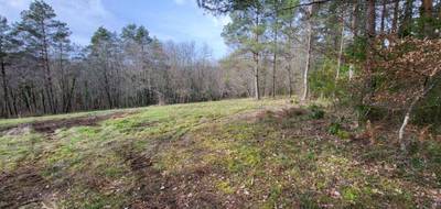 Terrain seul à Queyssac en Dordogne (24) de 2386 m² à vendre au prix de 51000€ - 1