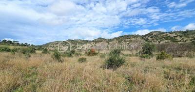 Terrain seul à Estagel en Pyrénées-Orientales (66) de 4760 m² à vendre au prix de 7500€ - 1