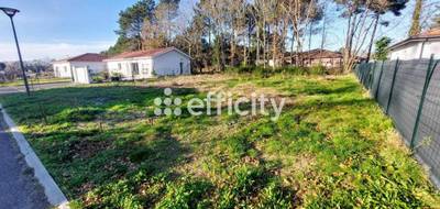 Terrain seul à Magescq en Landes (40) de 603 m² à vendre au prix de 140000€ - 2