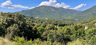 Terrain seul à Eccica-Suarella en Corse-du-Sud (2A) de 1772 m² à vendre au prix de 260000€ - 1