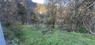 Terrain seul à Ville-di-Paraso en Haute-Corse (2B) de 2000 m² à vendre au prix de 158690€ - 3