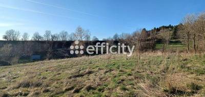 Terrain seul à Clavières en Cantal (15) de 1497 m² à vendre au prix de 29940€ - 2