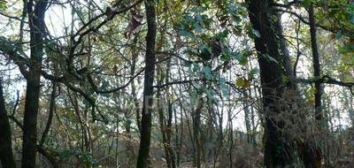 Terrain seul à Nivillac en Morbihan (56) de 14360 m² à vendre au prix de 49000€ - 4