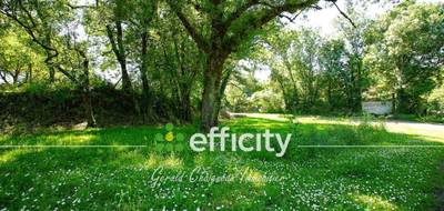 Terrain seul à Saint-Lumine-de-Coutais en Loire-Atlantique (44) de 369 m² à vendre au prix de 54000€ - 2