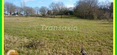 Terrain seul à Vallon-en-Sully en Allier (03) de 9840 m² à vendre au prix de 64000€ - 2