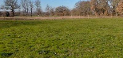 Terrain seul à Soual en Tarn (81) de 2651 m² à vendre au prix de 79900€ - 4