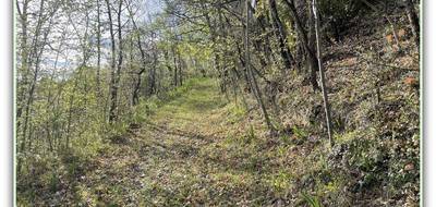Terrain seul à Montgey en Tarn (81) de 6102 m² à vendre au prix de 78000€ - 4