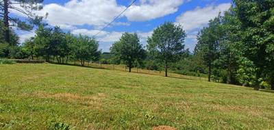 Terrain seul à Auvillar en Tarn-et-Garonne (82) de 2528 m² à vendre au prix de 53000€ - 1