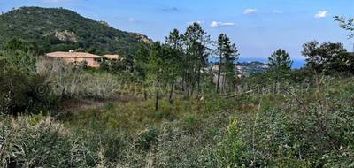 Terrain seul à Sari-Solenzara en Corse-du-Sud (2A) de 3716 m² à vendre au prix de 330000€ - 2