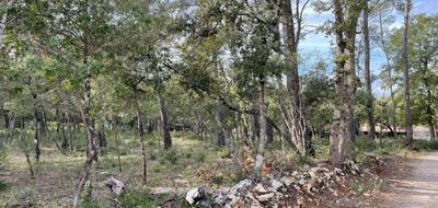 Programme terrain + maison à Le Thoronet en Var (83) de 769 m² à vendre au prix de 324000€ - 4