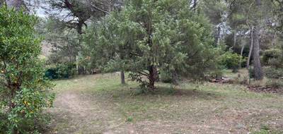 Terrain seul à La Bastide-des-Jourdans en Vaucluse (84) de 500 m² à vendre au prix de 140000€ - 2