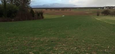 Programme terrain + maison à Galfingue en Haut-Rhin (68) de 478 m² à vendre au prix de 355900€ - 3
