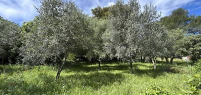 Programme terrain + maison à Draguignan en Var (83) de 1000 m² à vendre au prix de 339000€ - 2