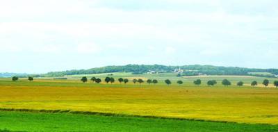 Programme terrain + maison à Bourgogne-Fresne en Marne (51) de 500 m² à vendre au prix de 200000€ - 3