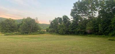 Terrain seul à Saint-Dolay en Morbihan (56) de 465 m² à vendre au prix de 62000€ - 1