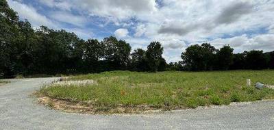 Programme terrain + maison à Bouhet en Charente-Maritime (17) de 403 m² à vendre au prix de 177306€ - 4
