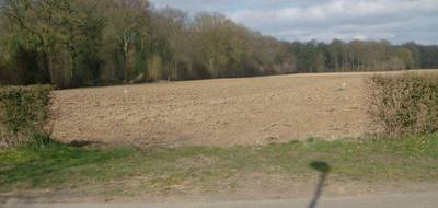 Programme terrain + maison à Quevauvillers en Somme (80) de 820 m² à vendre au prix de 197000€ - 3