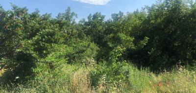 Programme terrain + maison à Draguignan en Var (83) de 869 m² à vendre au prix de 335000€ - 3