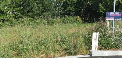 Terrain seul à La Chapelle-Palluau en Vendée (85) de 455 m² à vendre au prix de 51000€ - 1