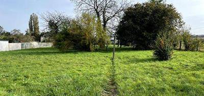Programme terrain + maison à Cergy en Val-d'Oise (95) de 305 m² à vendre au prix de 314000€ - 3