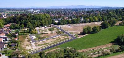 Programme terrain + maison à Morschwiller-le-Bas en Haut-Rhin (68) de 195 m² à vendre au prix de 299100€ - 3