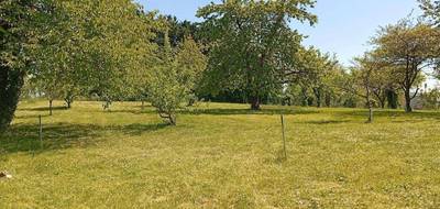 Programme terrain + maison à Bucy-le-Long en Aisne (02) de 1310 m² à vendre au prix de 213000€ - 3