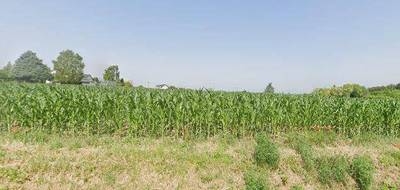 Terrain seul à Seiches-sur-le-Loir en Maine-et-Loire (49) de 502 m² à vendre au prix de 74000€ - 1