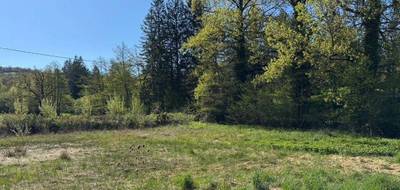 Terrain seul à Montrozier en Aveyron (12) de 798 m² à vendre au prix de 60000€ - 1