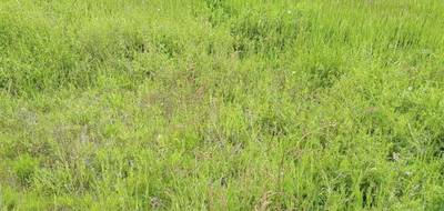 Terrain seul à Huillé-Lézigné en Maine-et-Loire (49) de 408 m² à vendre au prix de 41616€ - 1