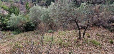 Terrain seul à Draguignan en Var (83) de 1500 m² à vendre au prix de 150000€ - 3