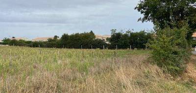 Programme terrain + maison à Villiers-en-Plaine en Deux-Sèvres (79) de 900 m² à vendre au prix de 173206€ - 3