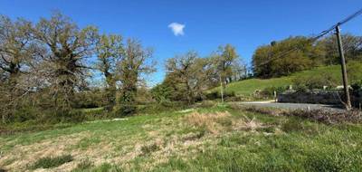 Terrain seul à Montrozier en Aveyron (12) de 716 m² à vendre au prix de 55000€ - 2