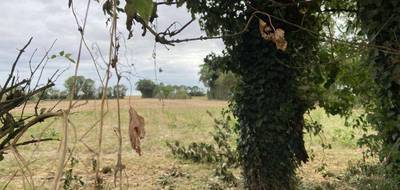 Programme terrain + maison à Villiers-en-Plaine en Deux-Sèvres (79) de 879 m² à vendre au prix de 175606€ - 3