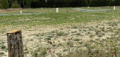 Programme terrain + maison à Granzay-Gript en Deux-Sèvres (79) de 597 m² à vendre au prix de 168026€ - 3