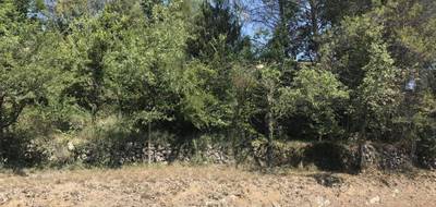 Terrain seul à Grasse en Alpes-Maritimes (06) de 700 m² à vendre au prix de 195000€ - 3