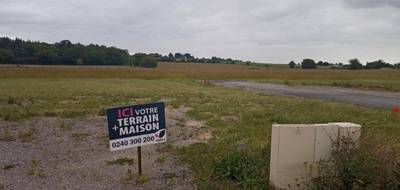 Programme terrain + maison à Mésanger en Loire-Atlantique (44) de 765 m² à vendre au prix de 232162€ - 4