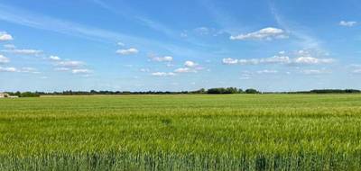 Programme terrain + maison à Vouillé en Deux-Sèvres (79) de 420 m² à vendre au prix de 174506€ - 3